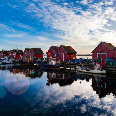 Hansehof Whg 9 公寓 博尔滕哈根